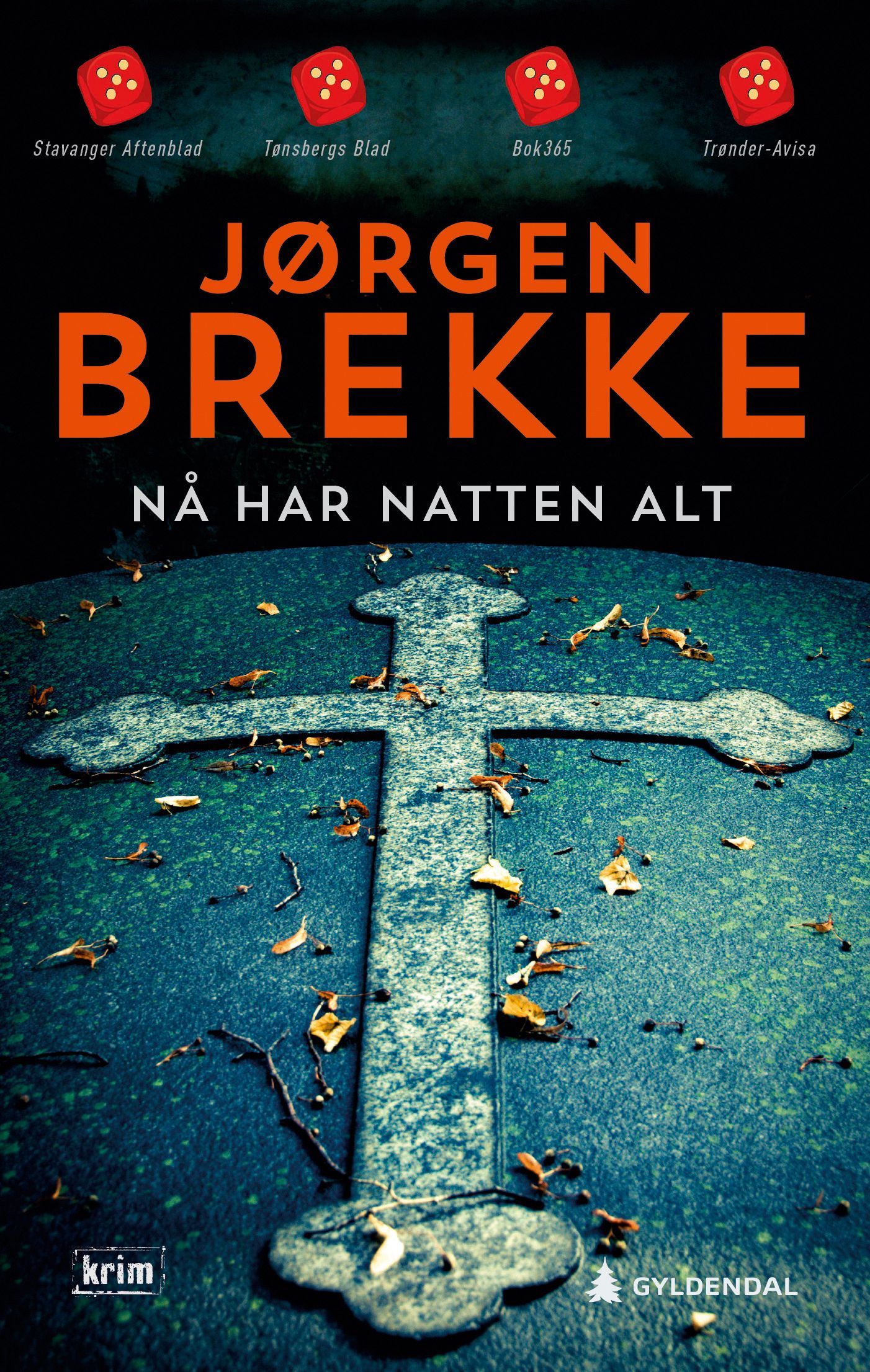 Nå har natten alt : kriminalroman