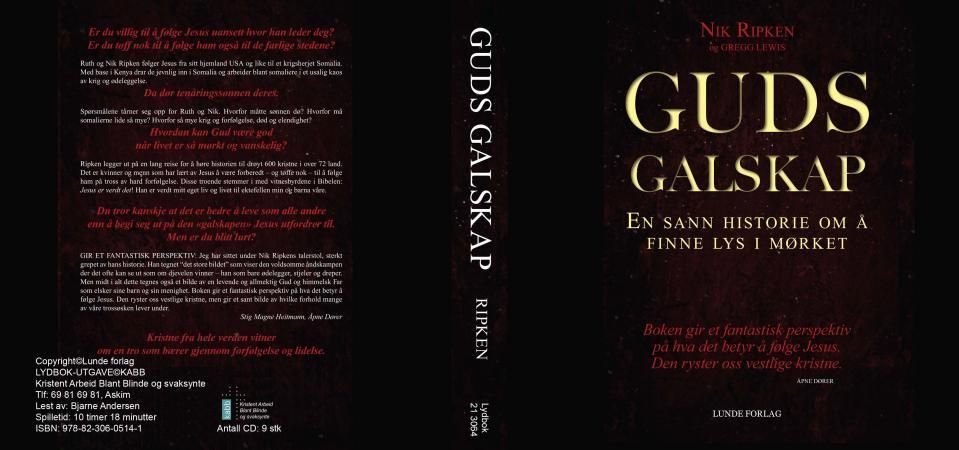 Guds galskap : en sann historie om å finne lys i mørket