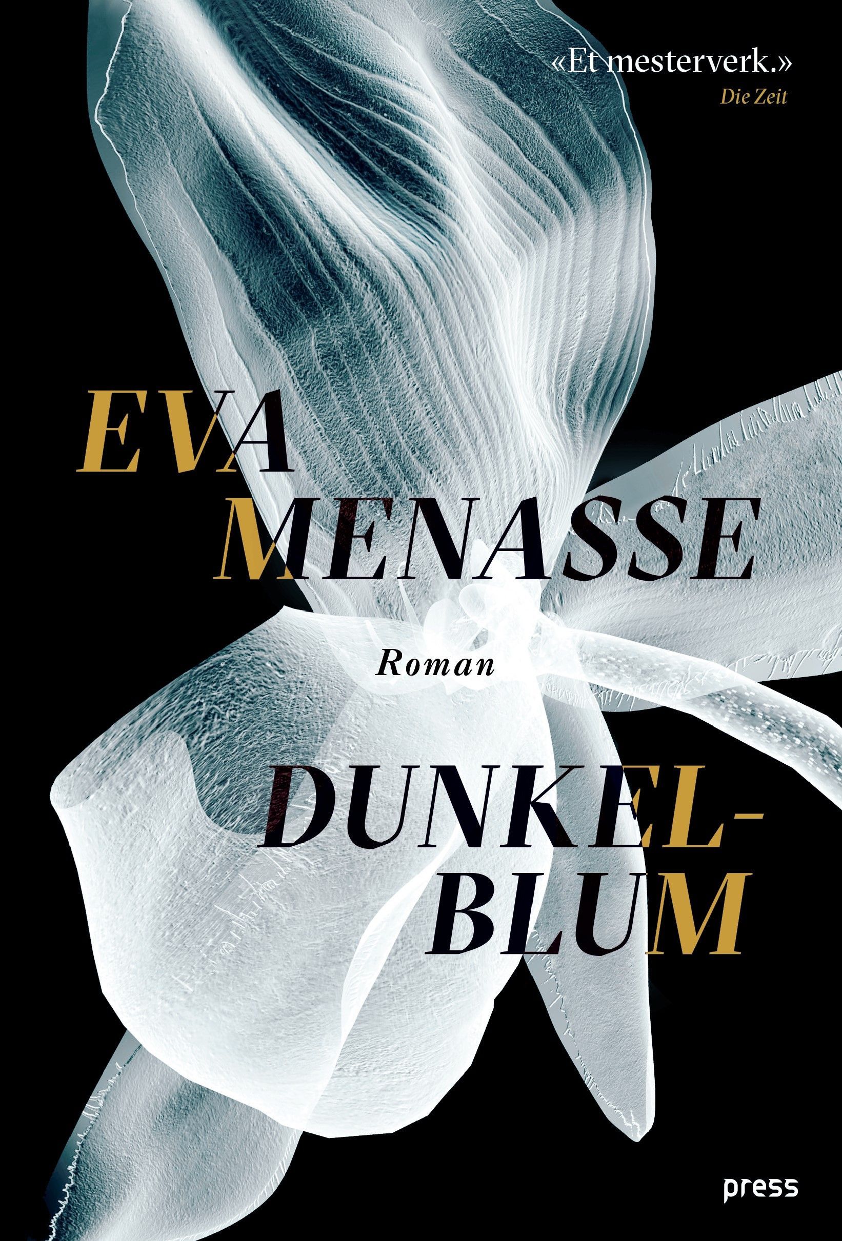 Dunkelblum : roman