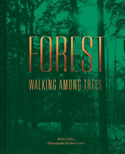 Forest : Walking among trees