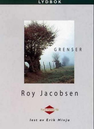 Grenser : roman