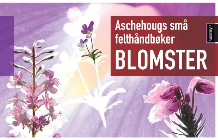 Blomster