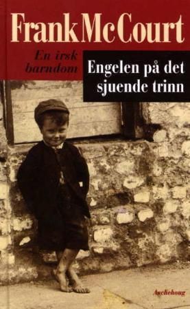 Engelen på det sjuende trinn : en irsk barndom
