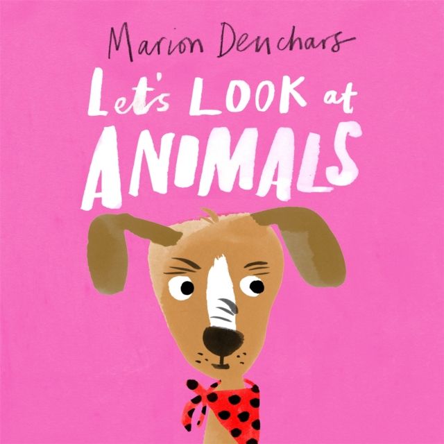 Let's Look at... Animals : Board Book