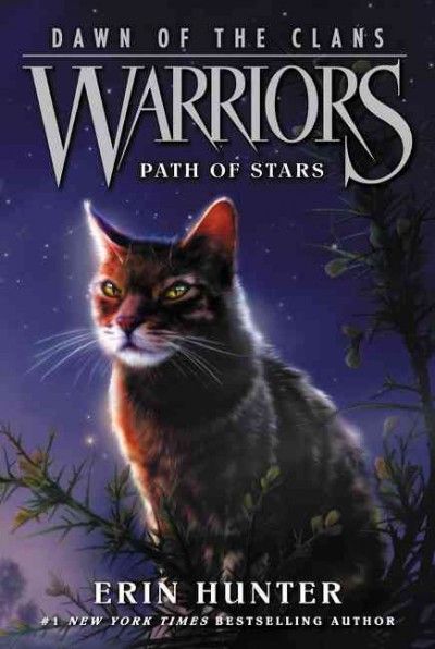 Path of stars
