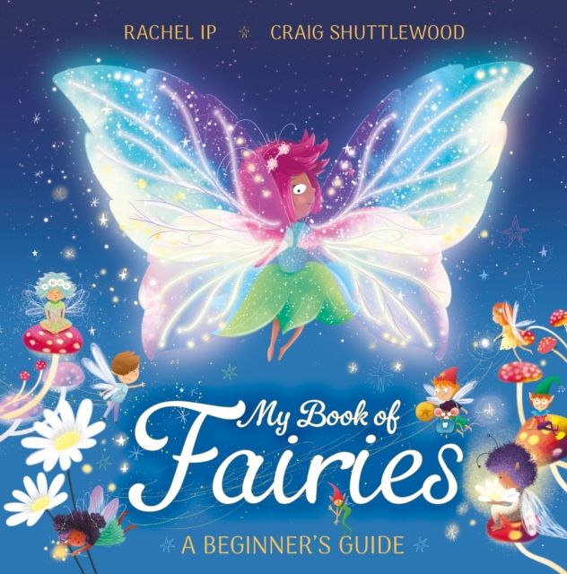 My Book of Fairies : A Beginner's Guide