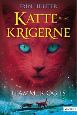 Flammer og is