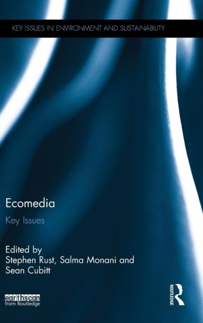 Ecomedia : Key Issues