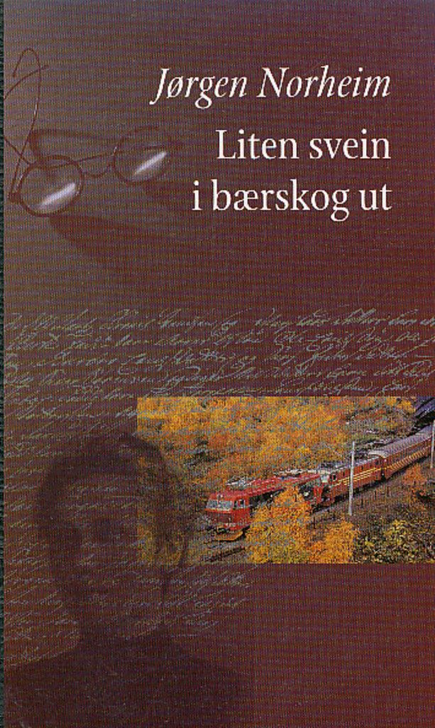Liten svein i bærskog ut : roman