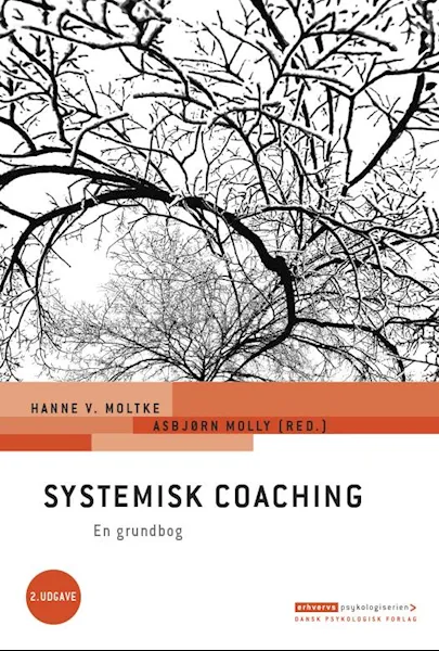 Forsidebilde av Systemisk coaching