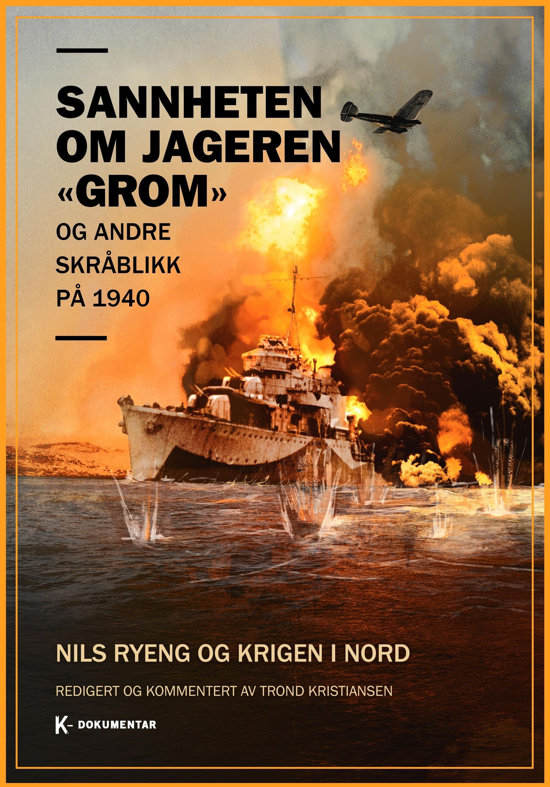 Sannheten om jageren "Grom" : og andre skråblikk på 1940 : Nils Ryeng og krigen i nord