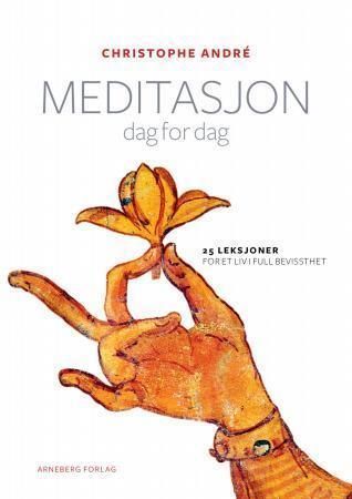 Meditasjon dag for dag : 25 leksjoner for et liv i full bevissthet
