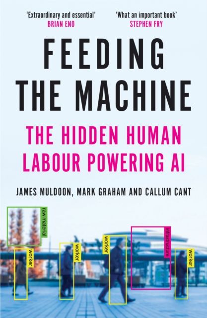 Feeding the Machine : The Hidden Human Labour Powering AI