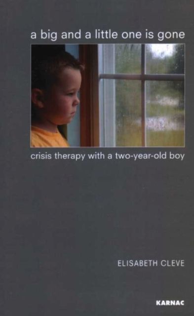 A Big and a Little One is Gone : Crisis Therapy with a Two-year-old Boy