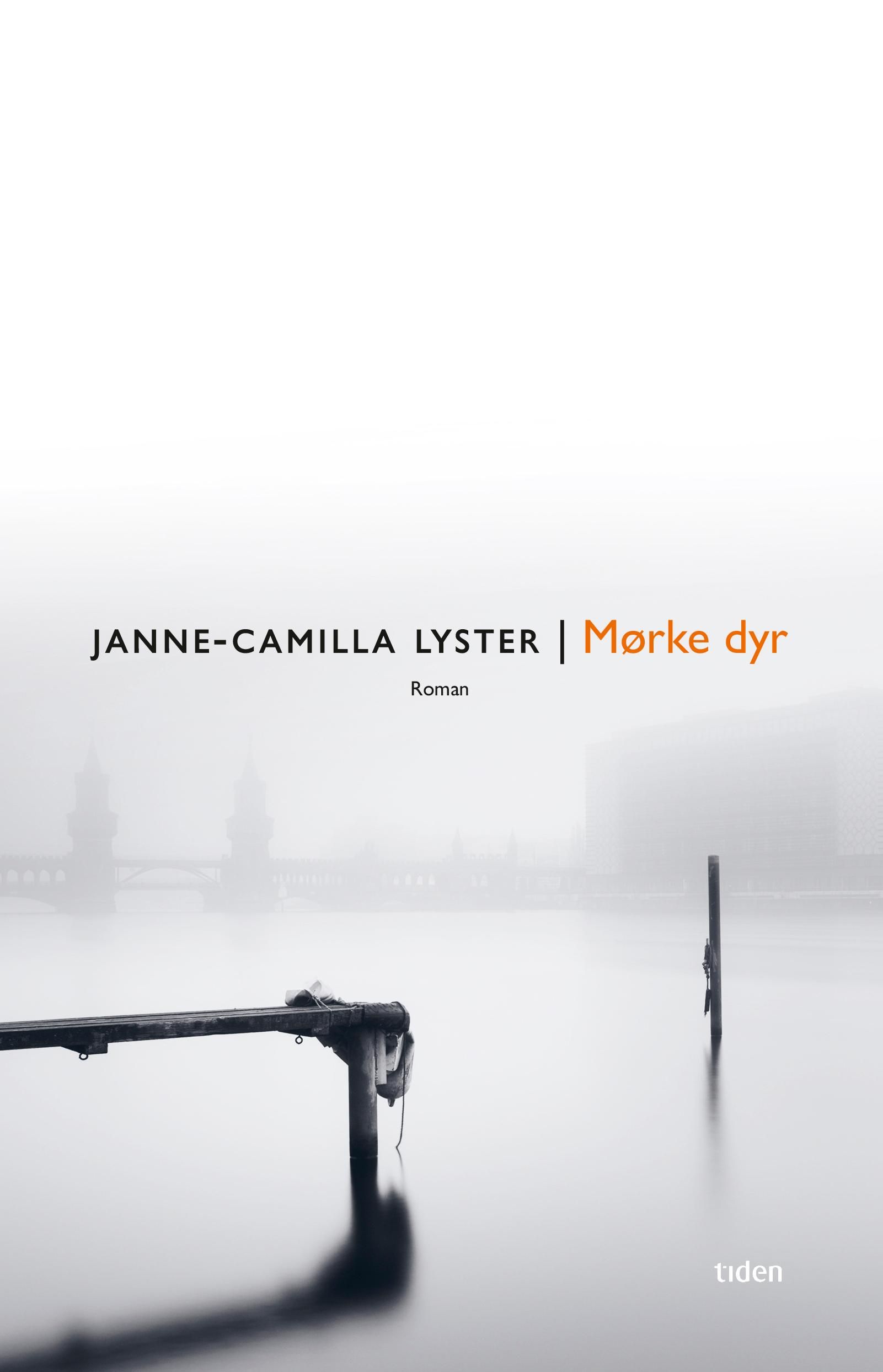 Mørke dyr : roman