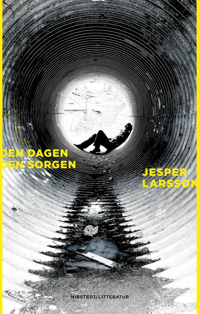 Den dagen den sorgen : roman