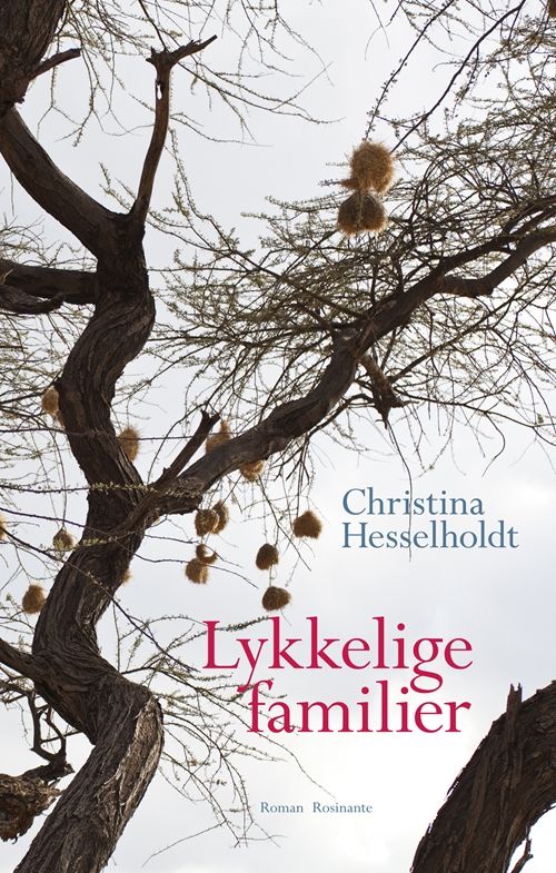 Forsidebilde av Lykkelige familier : roman