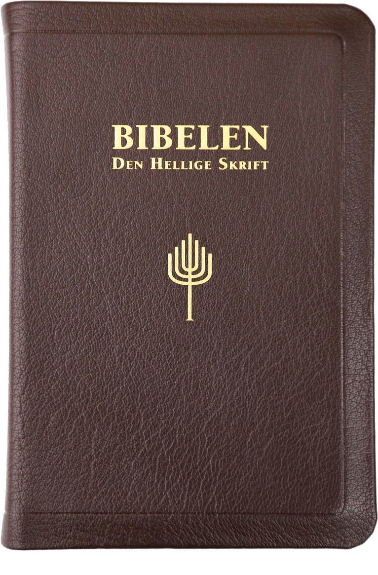 Forsidebilde av Bibelen : Den hellige skrift : Det gamle og Det nye testamentes kanoniske bøker