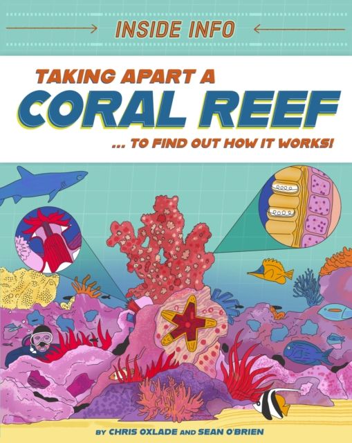 Inside Info: Taking Apart a Coral Reef : ... to find out how it works!