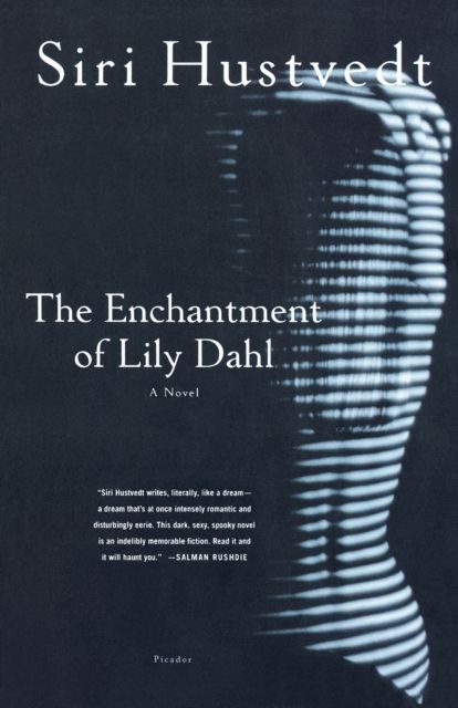 The Enchantment of Lily Dahl : A Novel