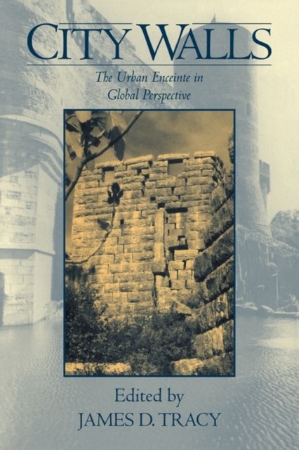 City Walls : The Urban Enceinte in Global Perspective