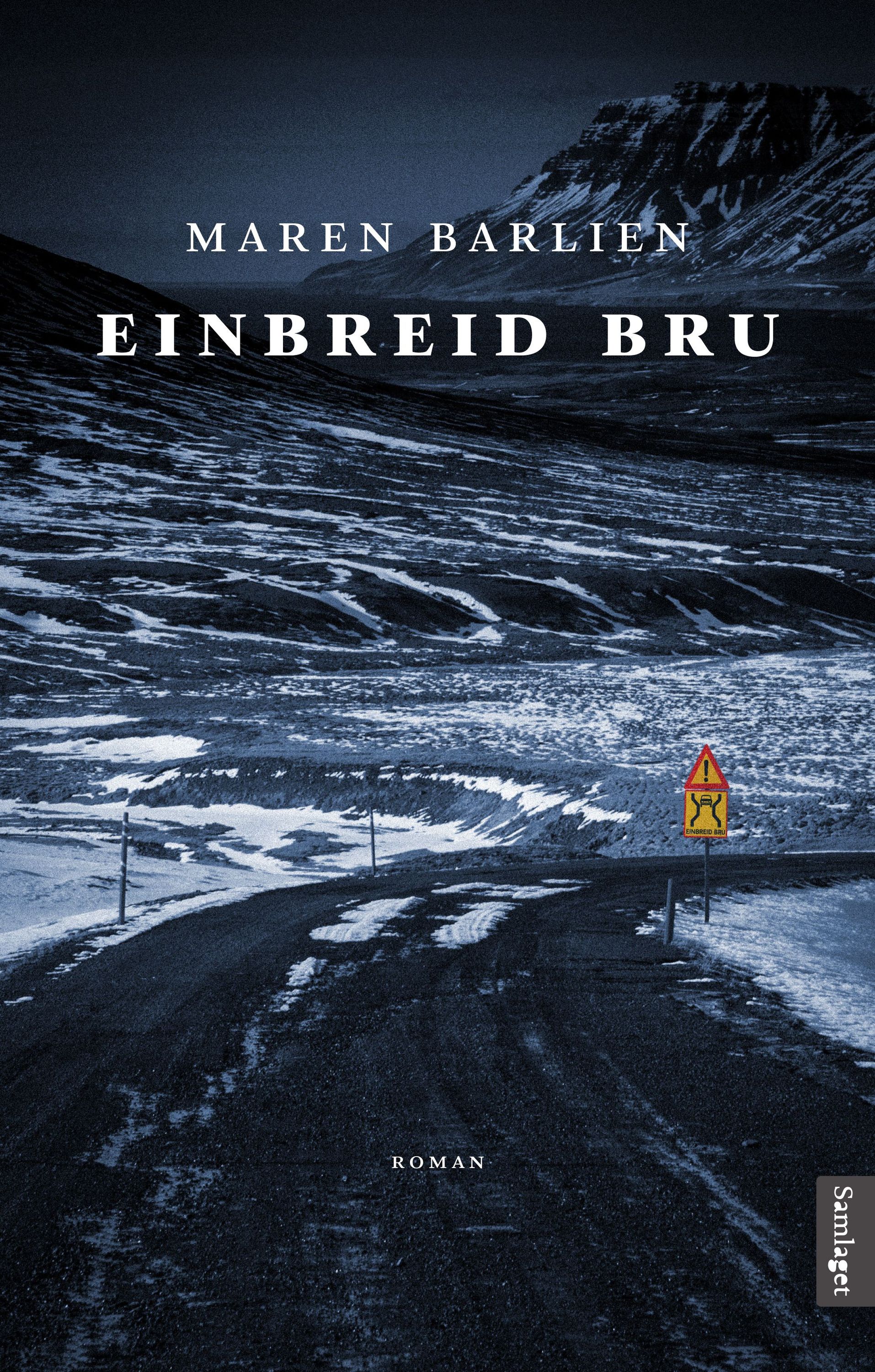 Einbreid bru : roman