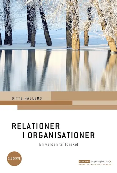 Forsidebilde av Relationer i organisationer