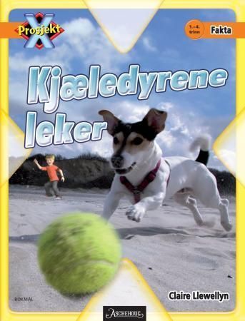 Kjæledyrene leker