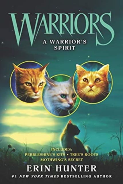 A warrior's spirit
