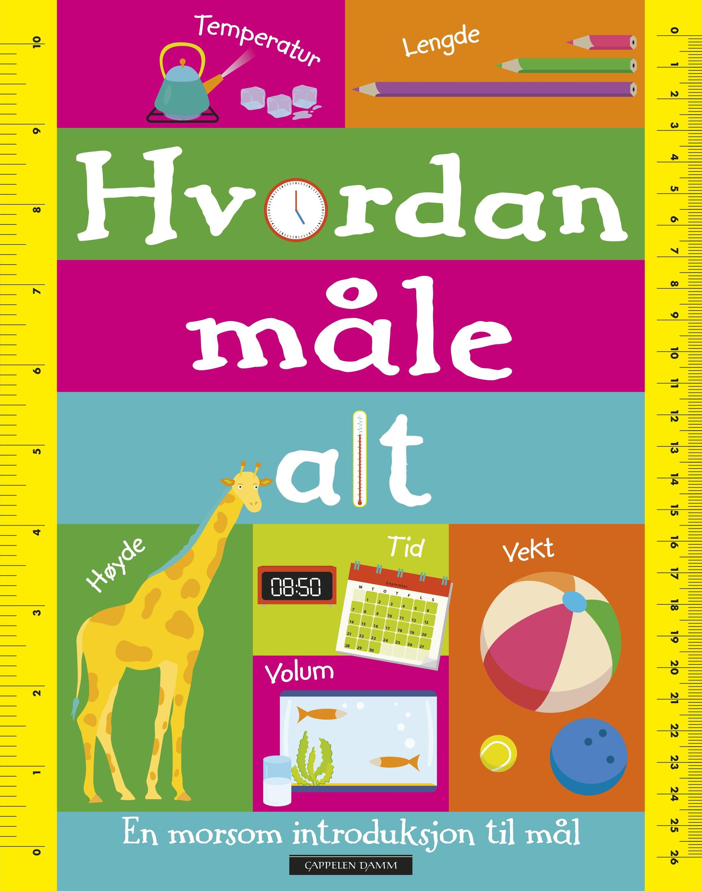 Hvordan måle alt : en morsom introduksjon til mål