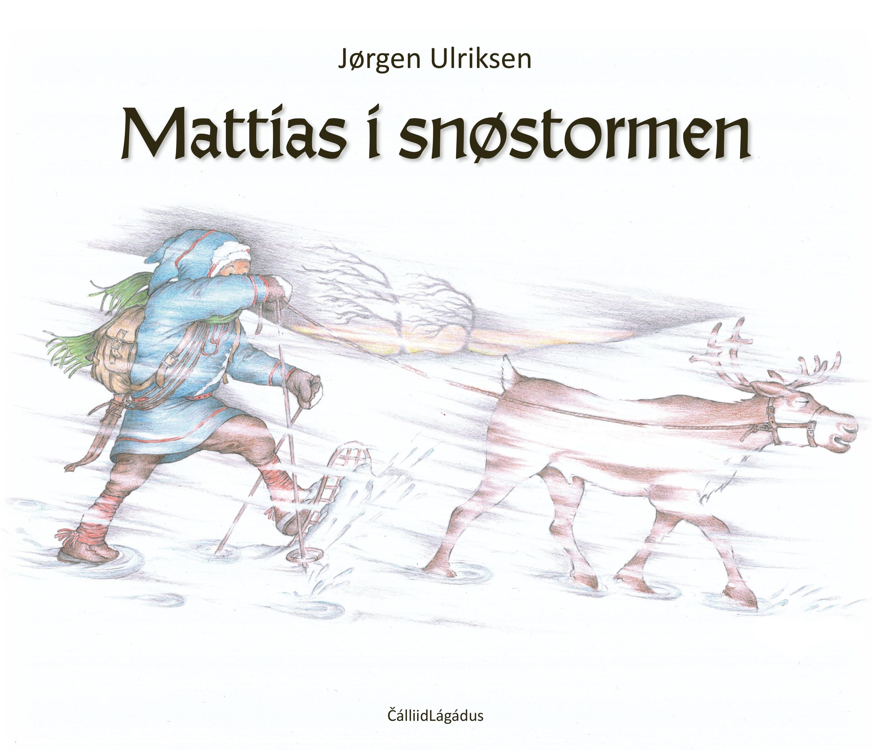 Mattias i snøstormen : en spenningsroman for aldersgruppen 11-13