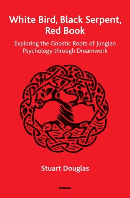 White Bird, Black Serpent, Red Book : Exploring the Gnostic Roots of Jungian Psychology through Dreamwork