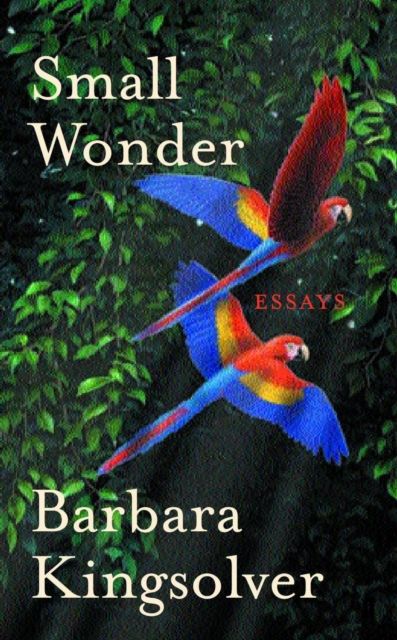 Small Wonder : Author of Demon Copperhead, Winner of the Women’s Prize for Fiction