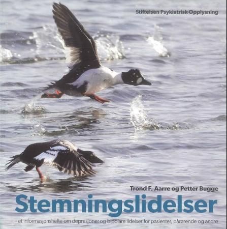 Stemningslidelser : et informasjonshefte om depresjoner og bipolare lidelser for pasienter, pårørende og andre