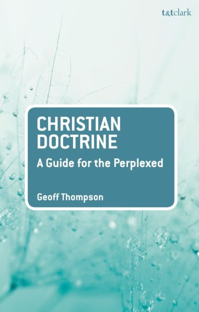 Christian Doctrine : A Guide for the Perplexed