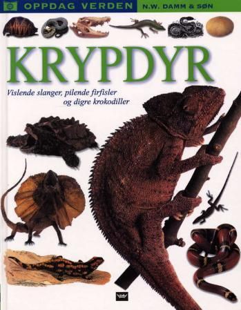 Krypdyr