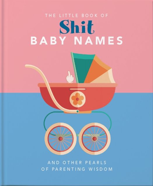 The Little Book of Shit Baby Names : And Other Pearls of Parenting Wisdom