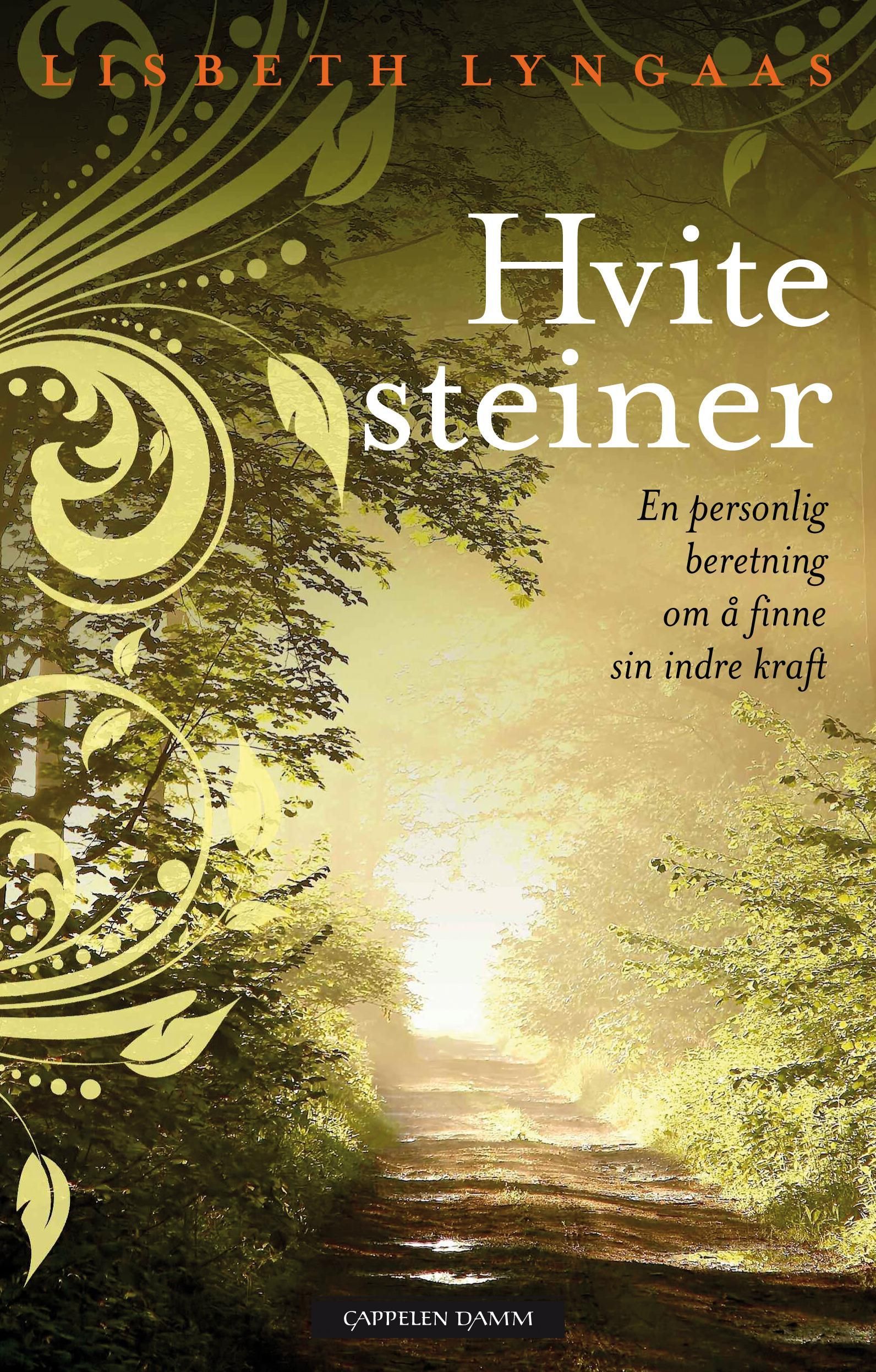 Hvite steiner : en personlig beretning om å finne sin indre kraft