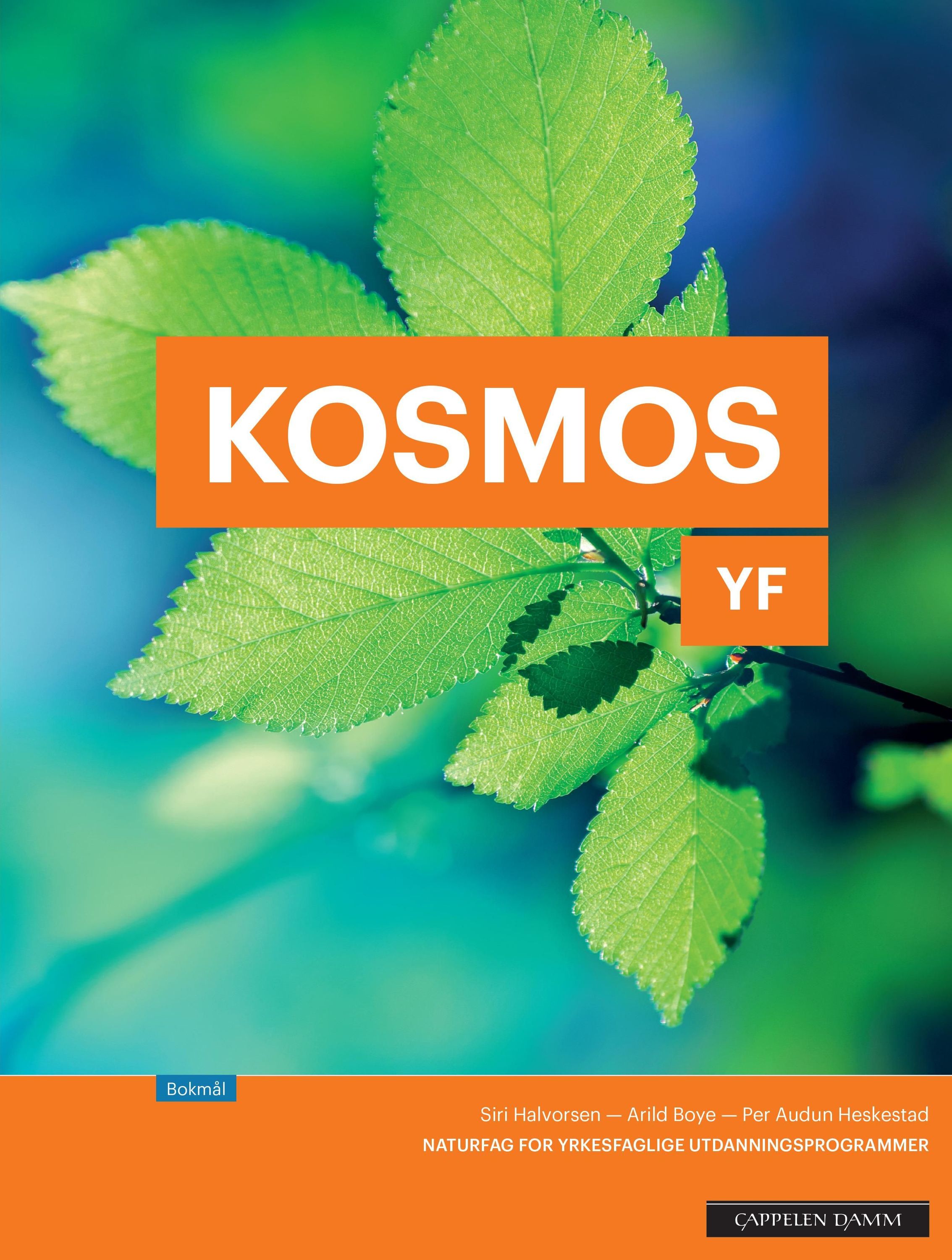 Kosmos YF : naturfag for yrkesfaglege utdanningsprogram : lærebok