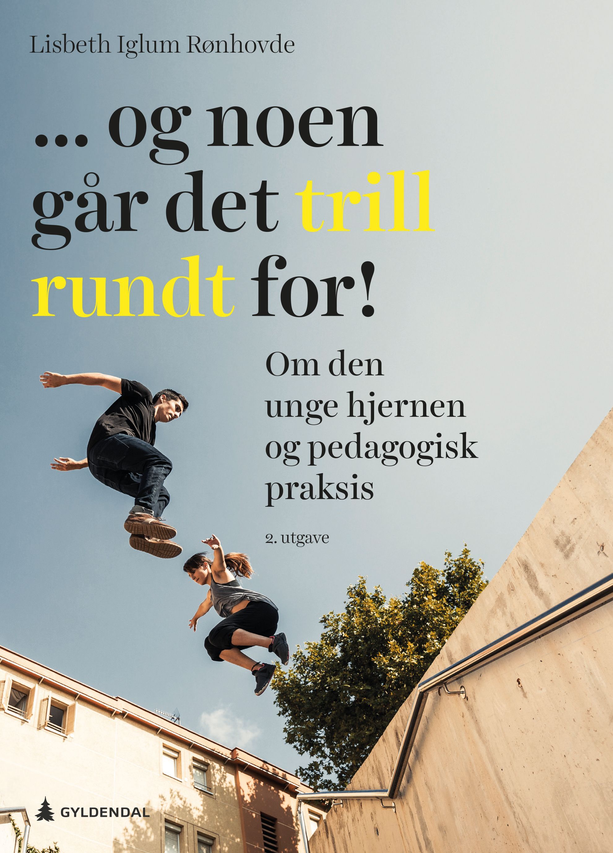 ... Og noen går det trill rundt for! : om den unge hjernen og pedagogisk praksis