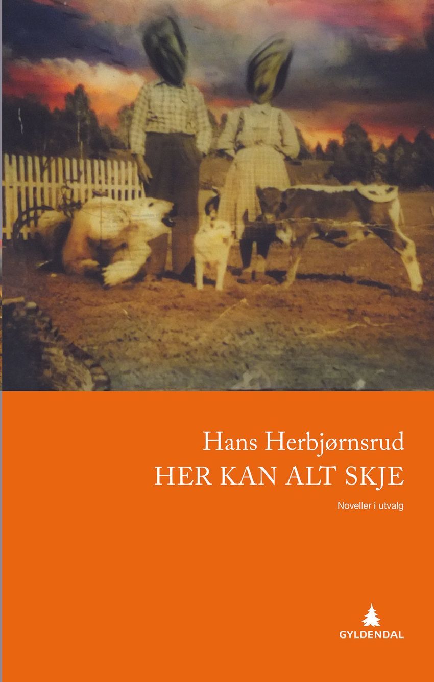 Her kan alt skje : noveller i utvalg