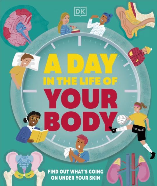 A Day in the Life of Your Body : Find Out What's Going on Under Your Skin
