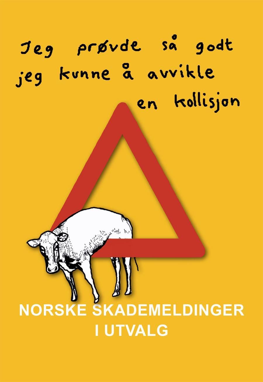 Norske skademeldinger i utvalg : "jeg prøvde så godt jeg kunne å avvikle en kollisjon"