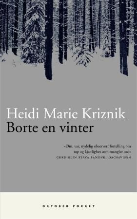 Borte en vinter : roman