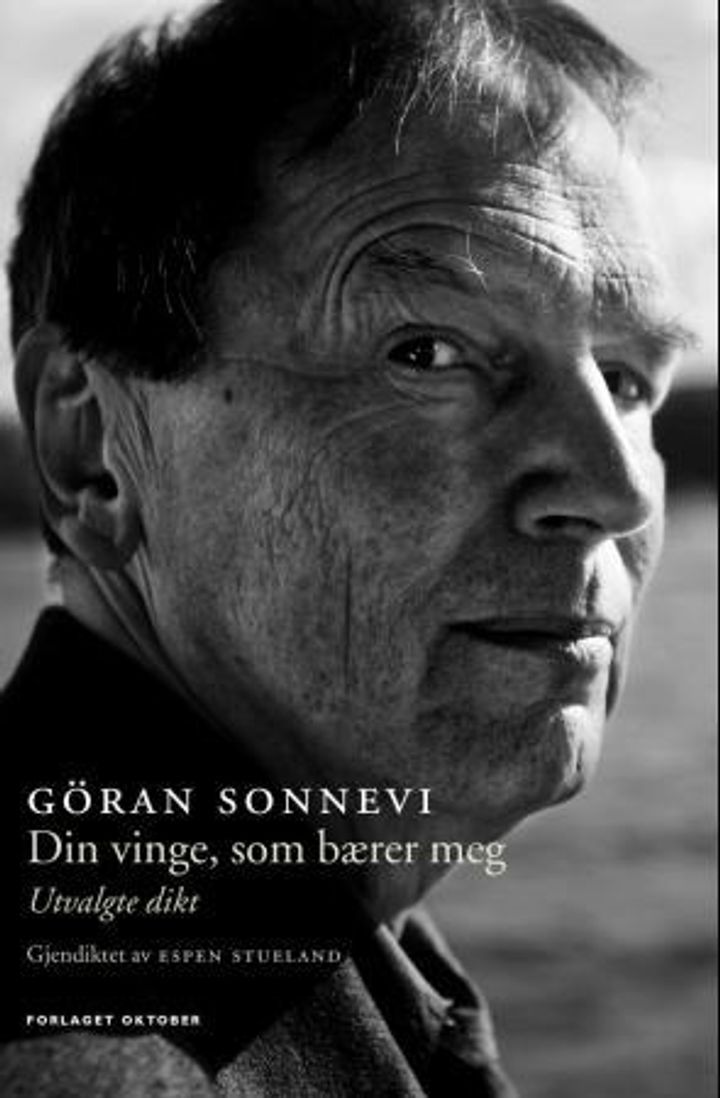 Din vinge, som bærer meg : utvalgte dikt 1966-2005 : fra diktsamlingene Mozarts tredje hjärna,  Klangernas bok og Oceanen