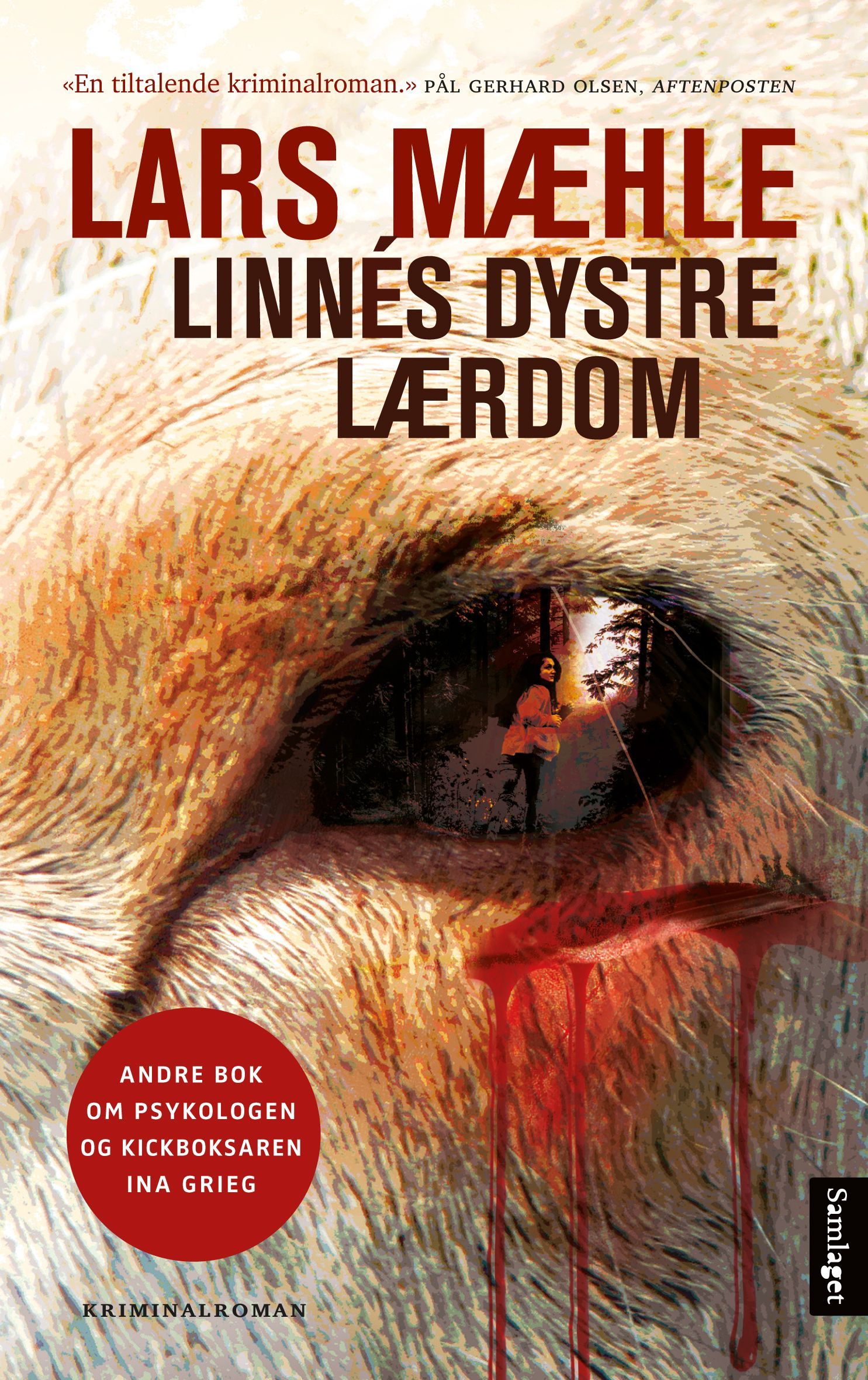 Linnés dystre lærdom : kriminalroman