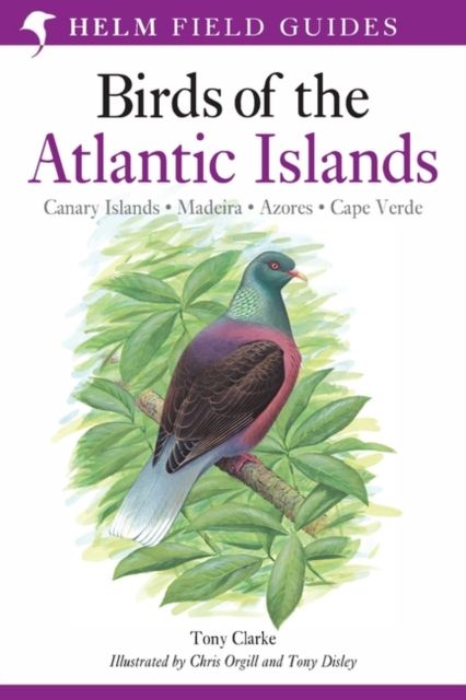 Field Guide to the Birds of the Atlantic Islands : Canary Islands, Madeira, Azores, Cape Verde