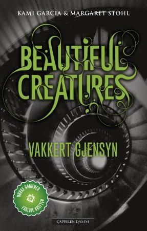 Vakkert gjensyn