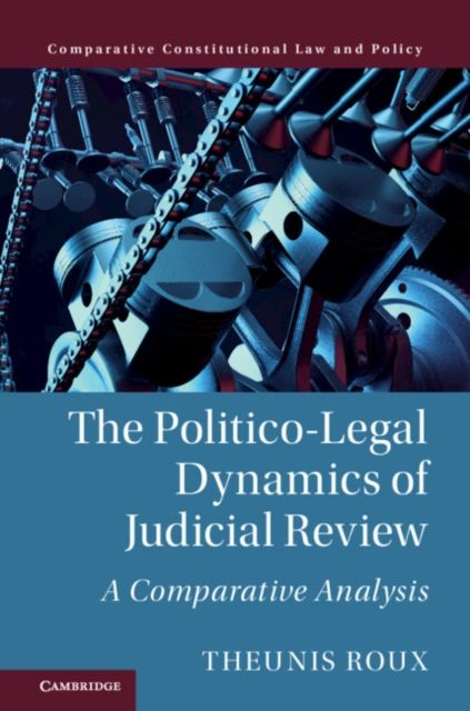 The Politico-Legal Dynamics of Judicial Review : A Comparative Analysis