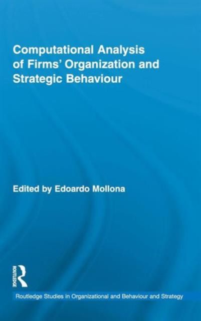 Computational Analysis of Firms' Organization and Strategic Behaviour